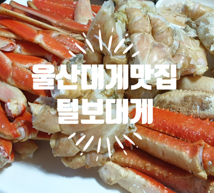 털보대게 이미지