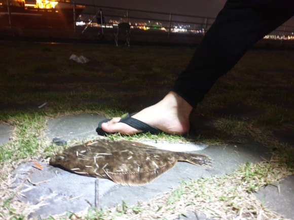 부산낚시 이미지