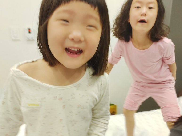 지세포포 이미지