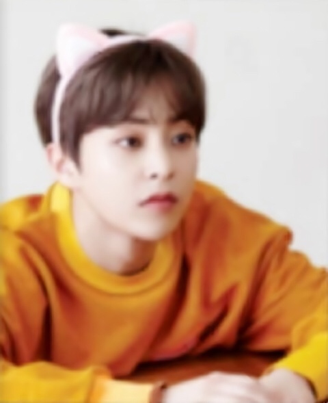 타임포토 이미지