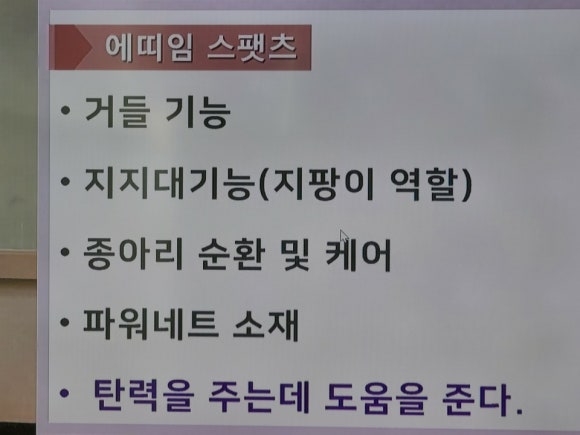 에띠모와 에띠임 이미지