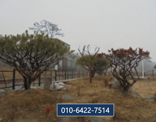 충북보건과학대학교 운동장 이미지