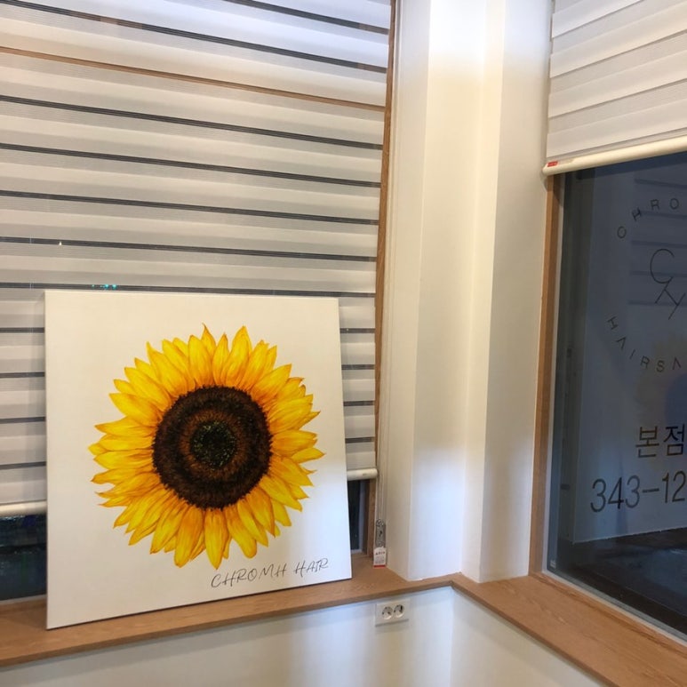 진영미용실 이미지