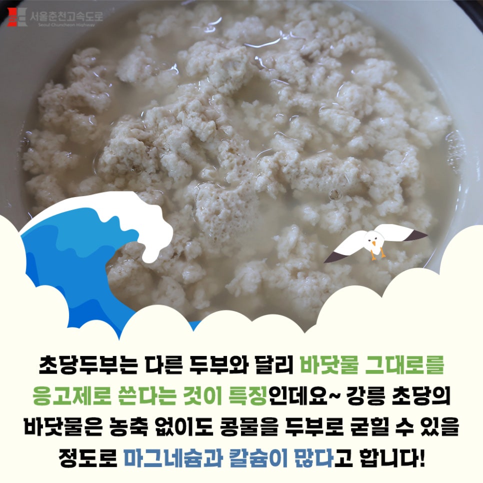 초당두부 이미지