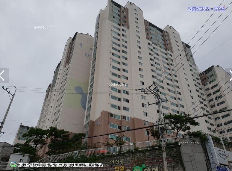 부산채움법원경매전문학원 이미지