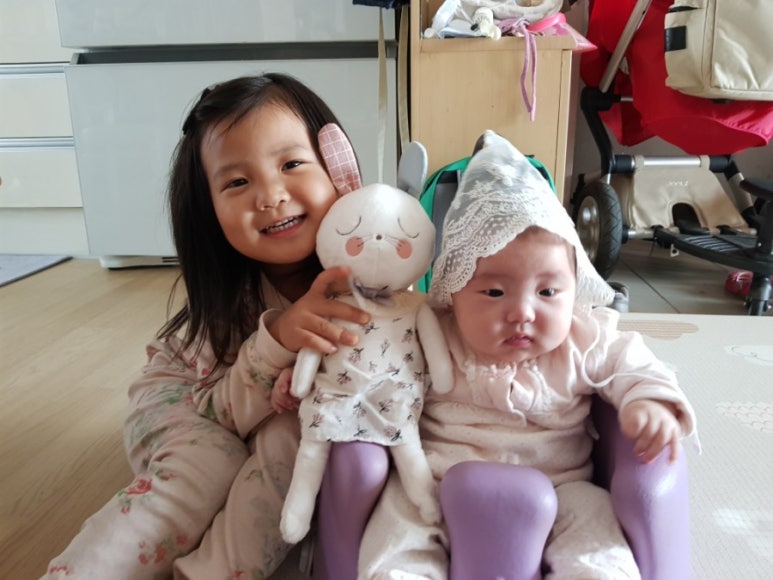 도현소프트 이미지