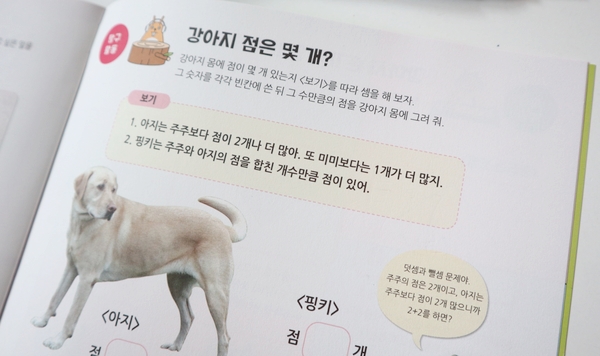 부라보 연산 이미지