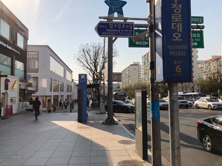 로데오수선 이미지