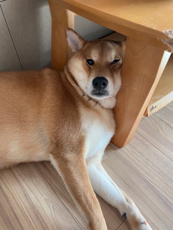 뉴픽 이미지