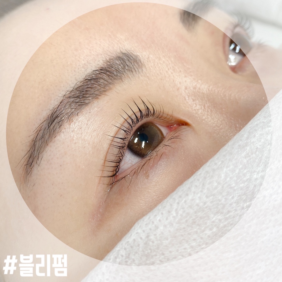 블리의 팔레트 이미지