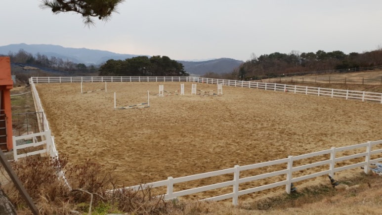 세종시장군승마장 이미지
