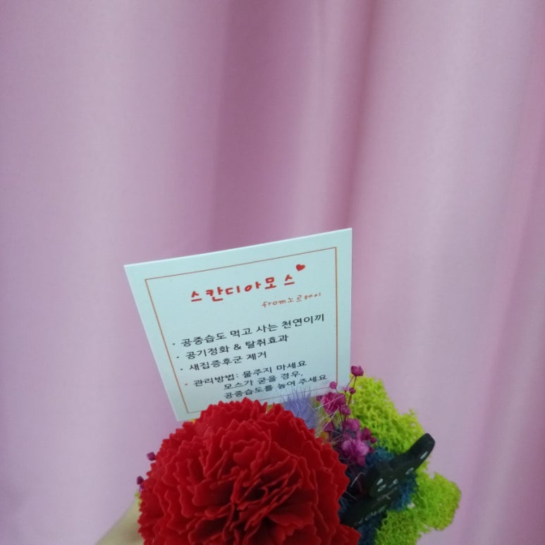 릴리플라워카페 이미지