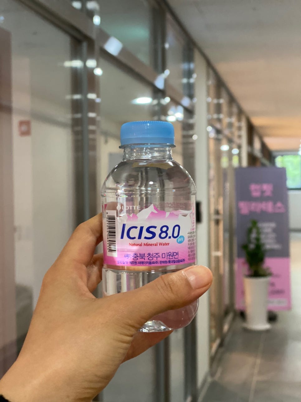 럽핏 이미지