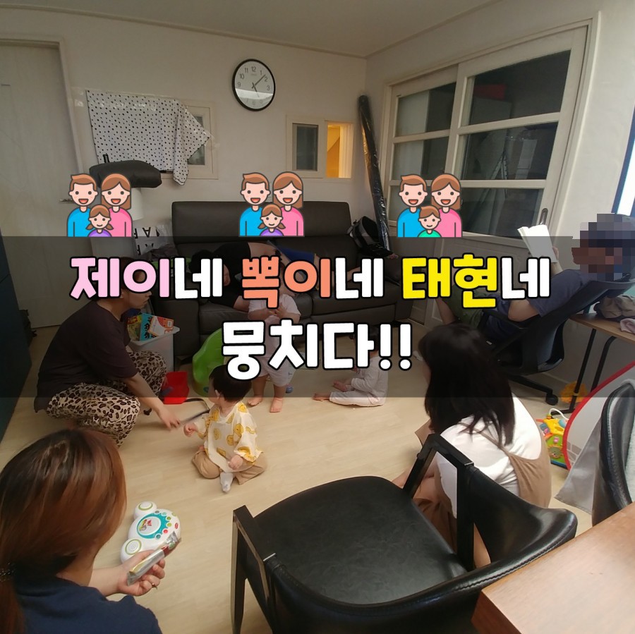 태현네 이미지