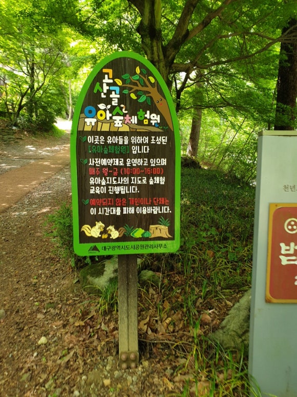 앞산고산골 유아숲체험원 이미지