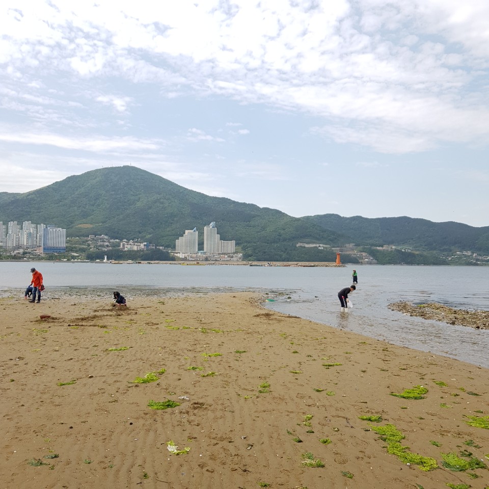 대명장화로 이미지