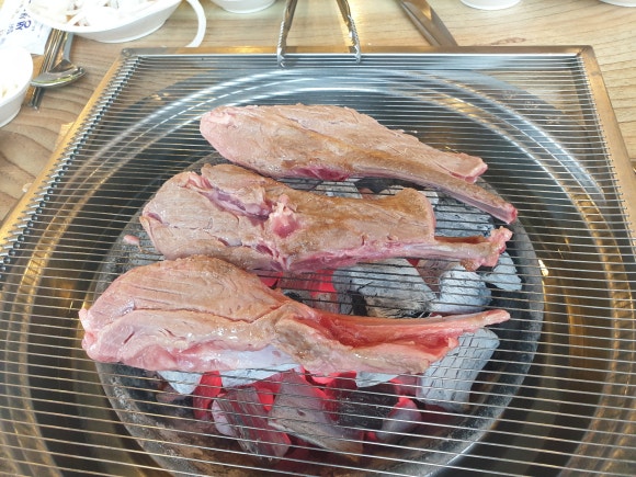 대교양고기 이미지