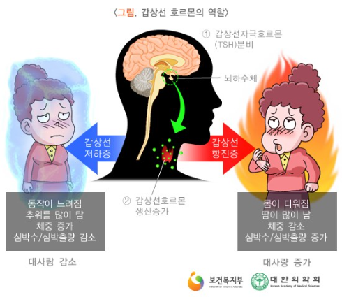 다대안심내과 이미지
