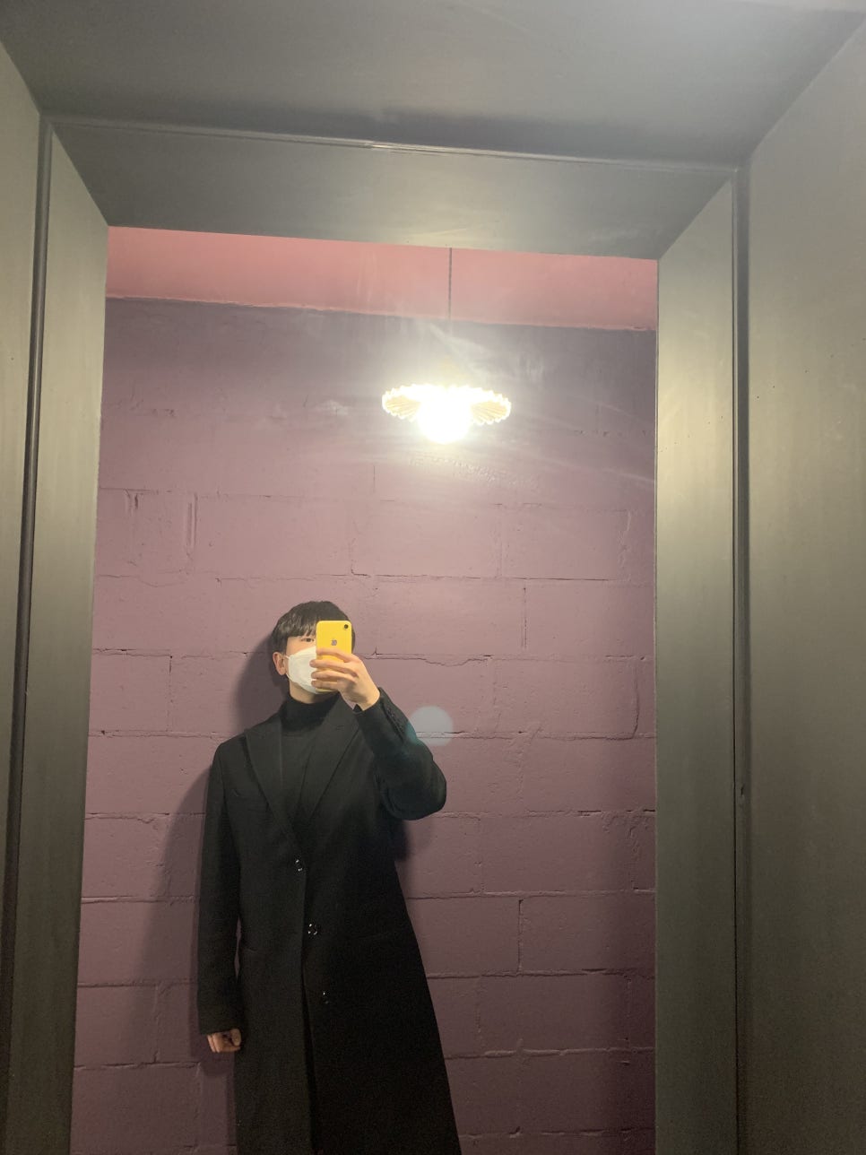 카레시 이미지