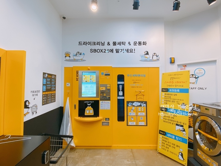 펭귄세탁 이미지