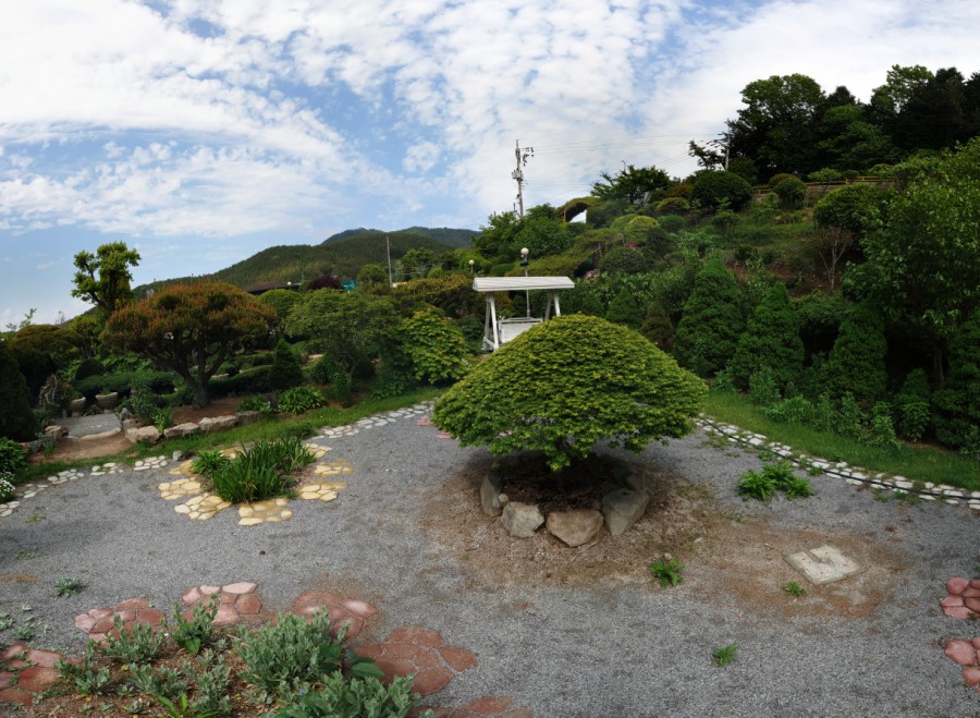 카페춘화의정원 이미지