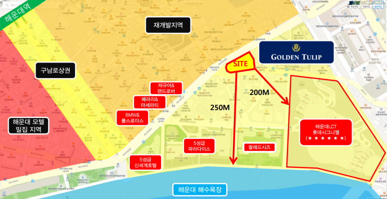 더골든라인 이미지