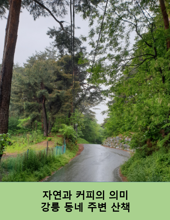 성덕동커피 이미지