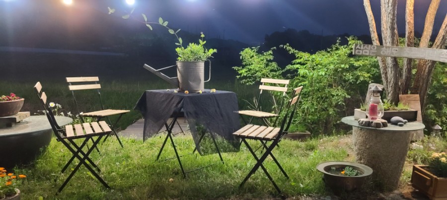 뜰애꽃 이미지