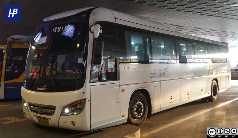 와이드대성 이미지