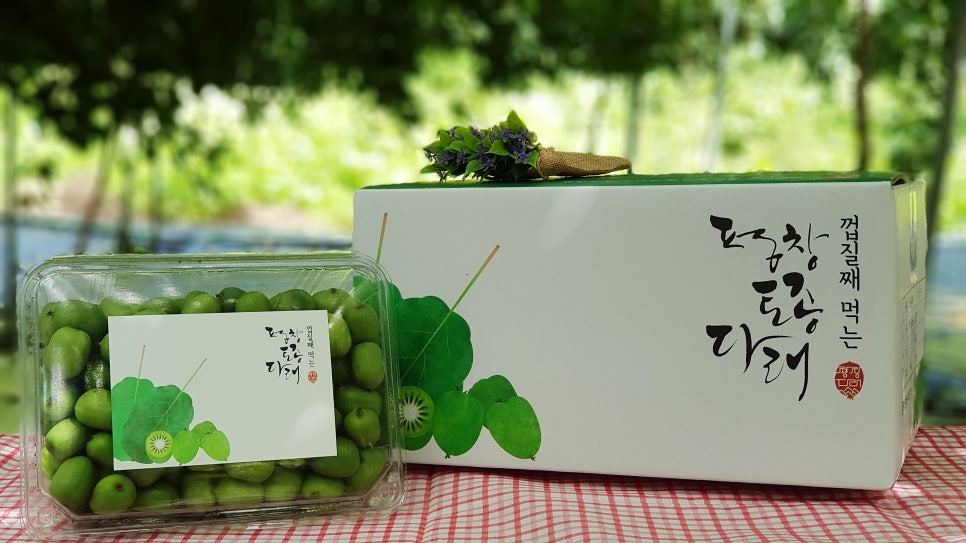 연화농원 이미지