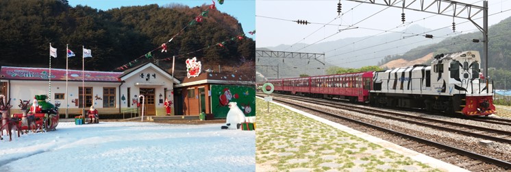 봉화잔디 이미지