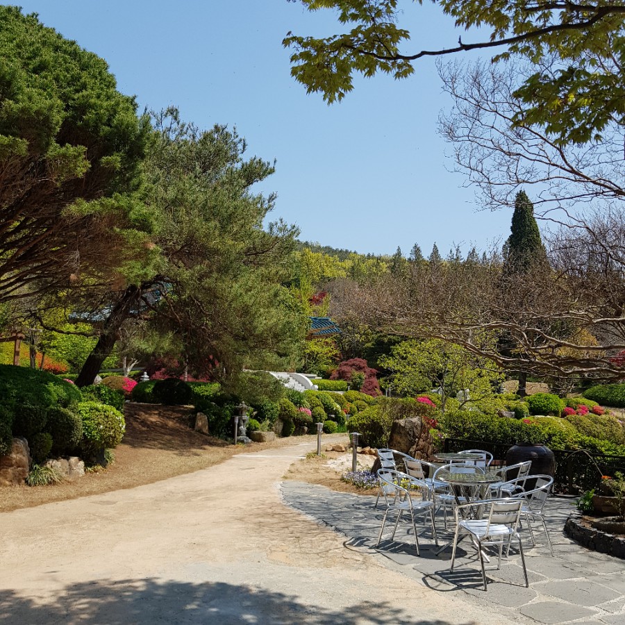 카페그라운드 이미지