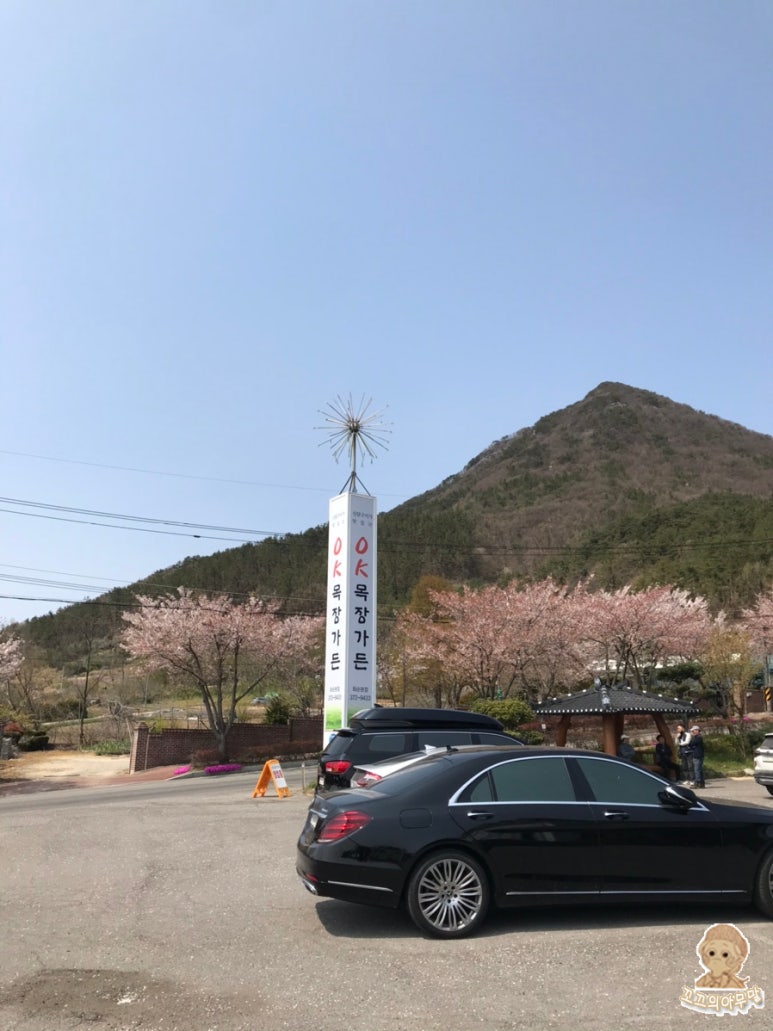 가나오케이 이미지