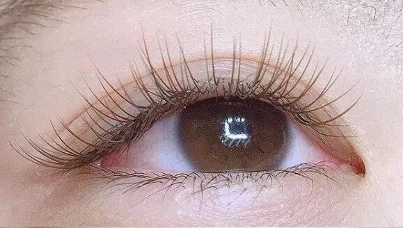 여의도반하다 이미지