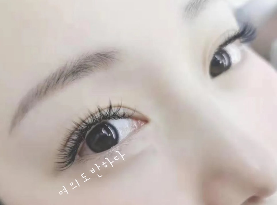 여의도반하다 이미지