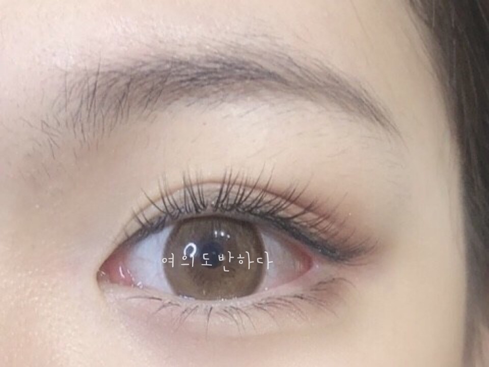여의도반하다 이미지