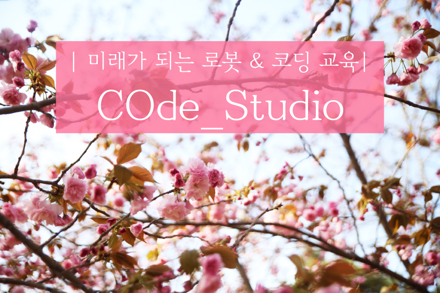 로보티즈로봇코딩교습소 이미지