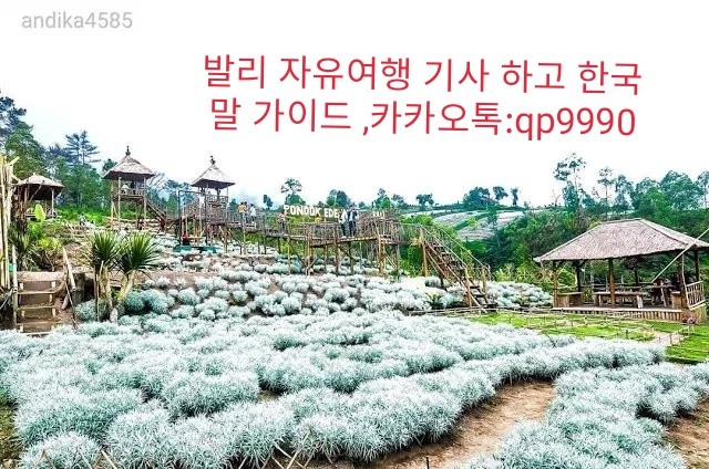에델바이스화원 이미지