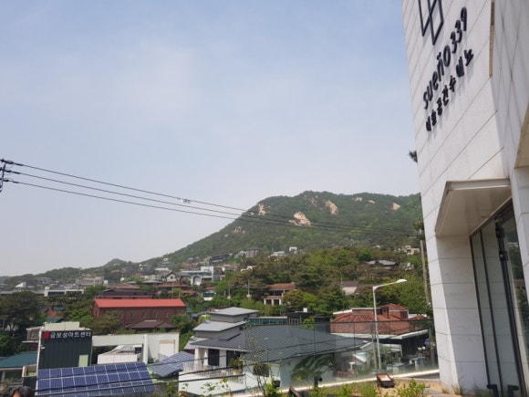 수애뇨339 이미지