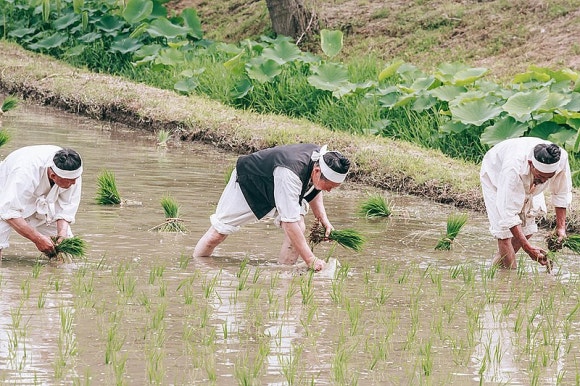 달려운 이미지