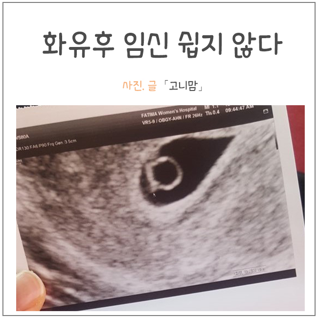 내맘처럼 이미지