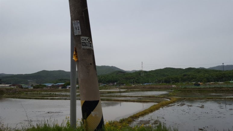 카페만선뜰 이미지