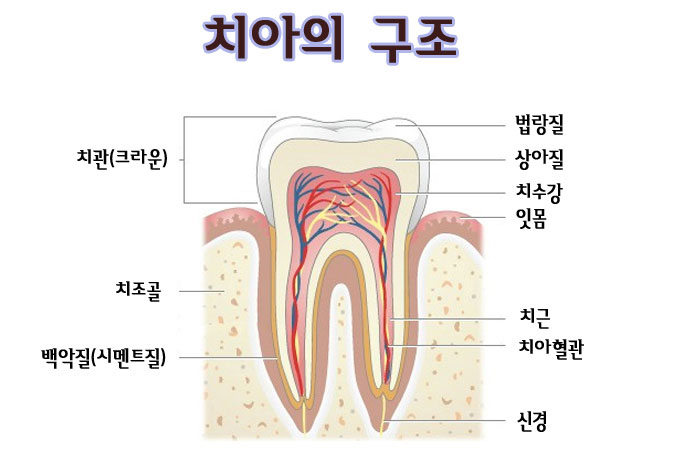연세진치과 이미지