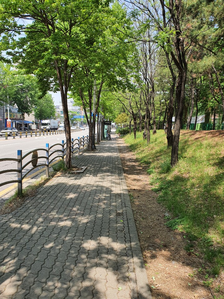 고려메디웰의원 이미지