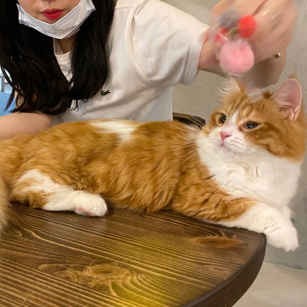 (주)버즈커피 이미지