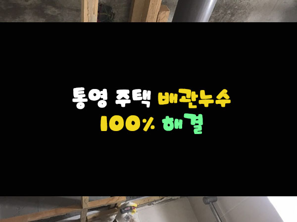 성자상회 이미지