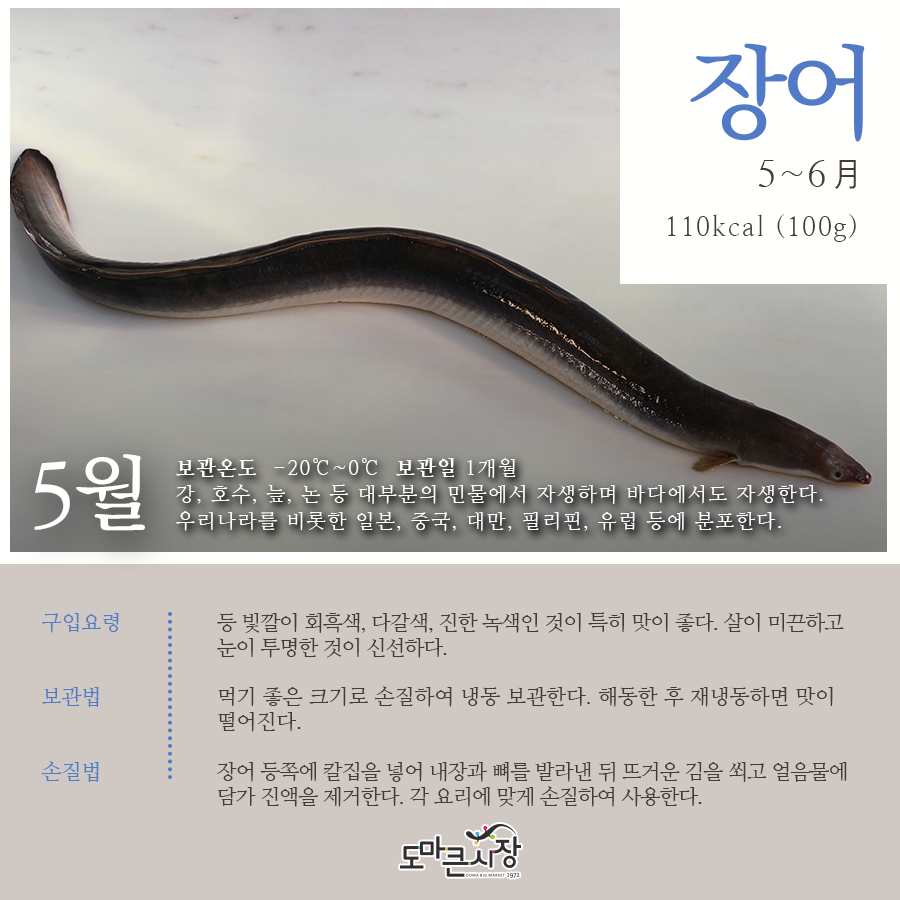 장어보감 이미지