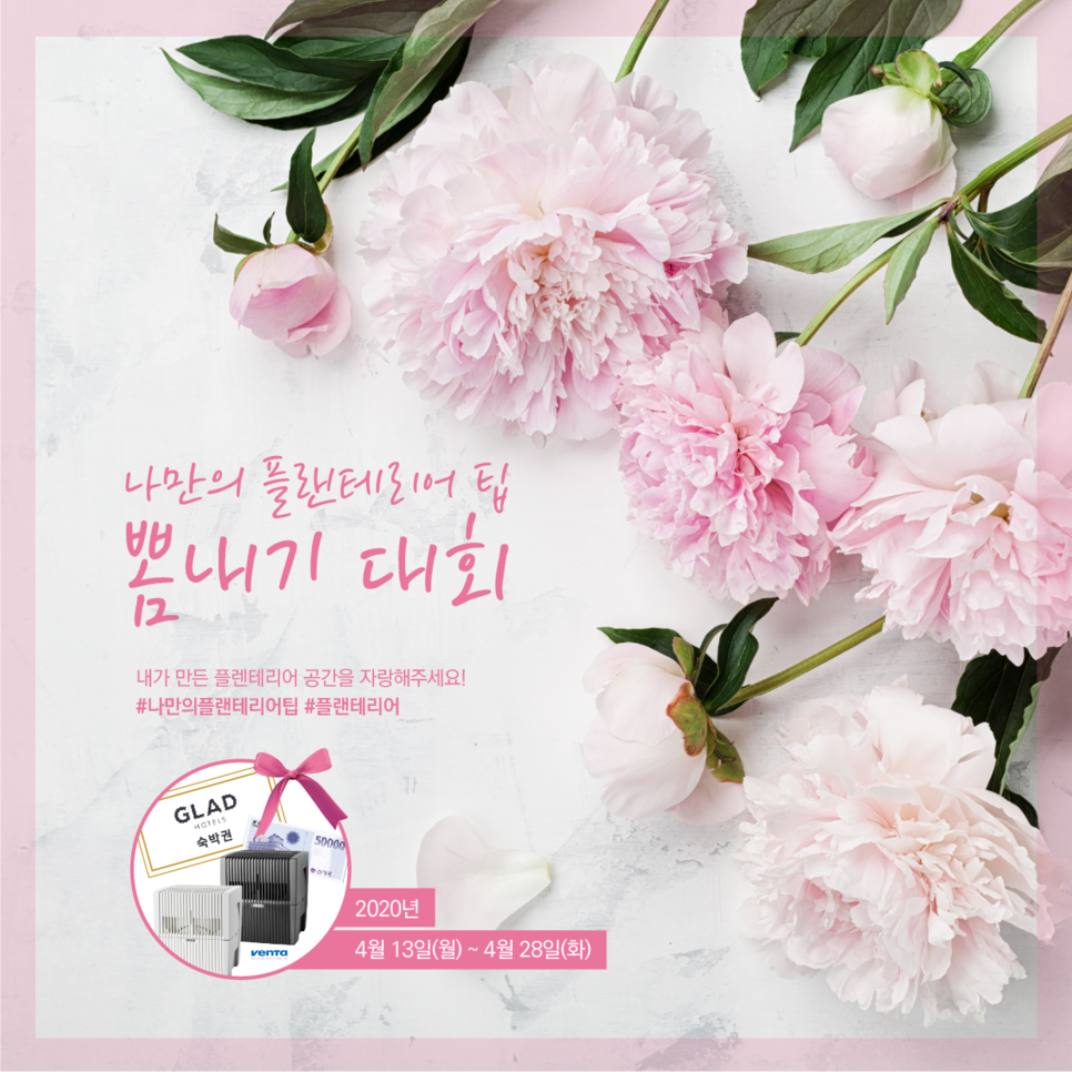 나의플랜테리어 이미지