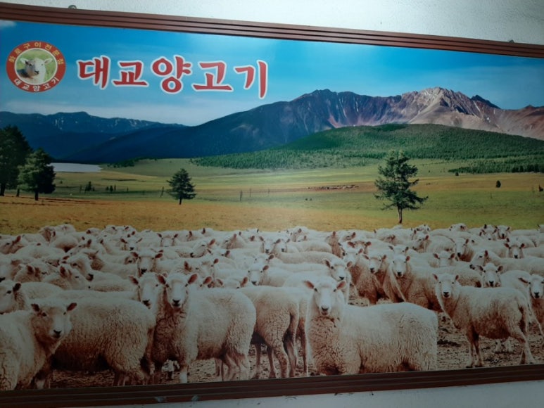 대교양고기 이미지