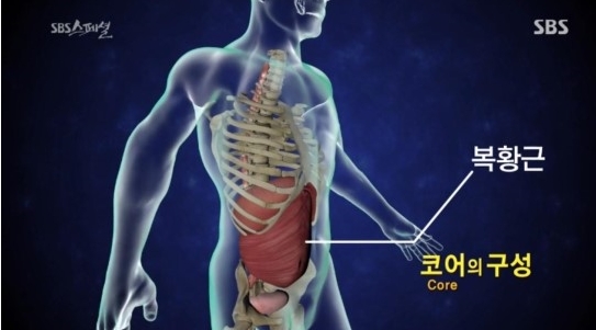 마린코어 이미지